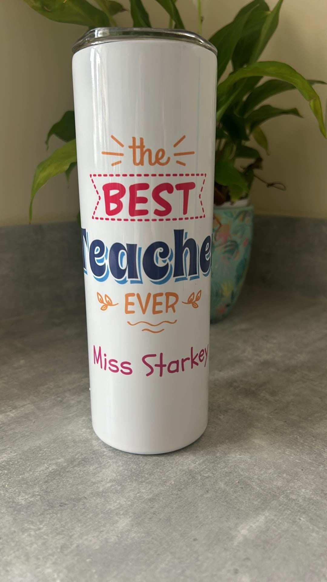 Stainless Steel Tumbler (with metal straw)