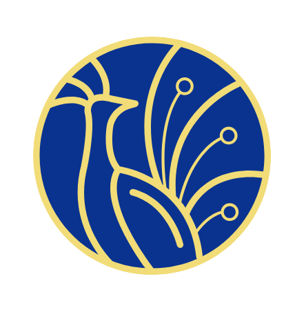 Peacock Designs and Merchandise